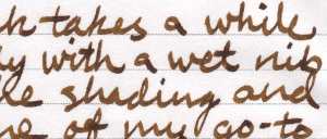 reviews_ink_noodler's_goldenbrown2