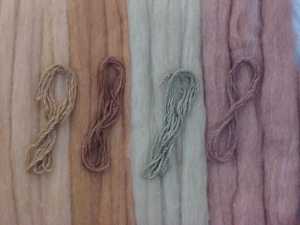 naturalllycoloredcotton